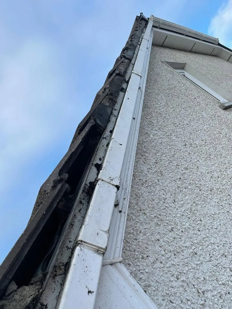 Fascia and gutter on a dashed wall, Flaherty Roof and Driveways