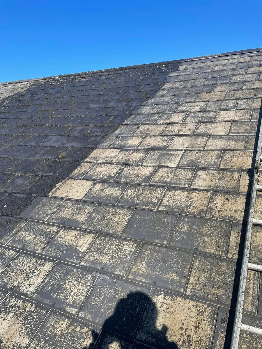 Weathered tiles beside a freshly re-coloured strip during a roof clean, Flaherty Roof and Driveways