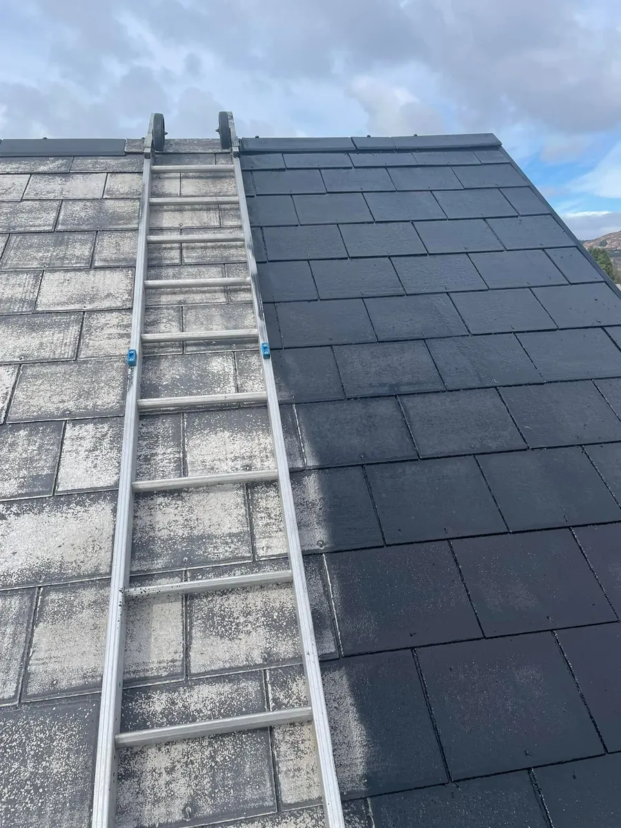 Roof ladder on a slope half way through a roof clean and re-colour, Flaherty Roof and Driveways