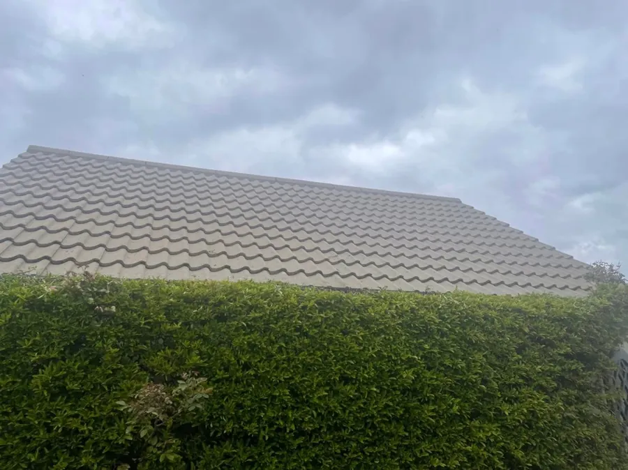 Weathered tiled roof behind a hedge before cleaning, Flaherty Roof and Driveways